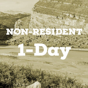 1 Day Permit - Non-Resident