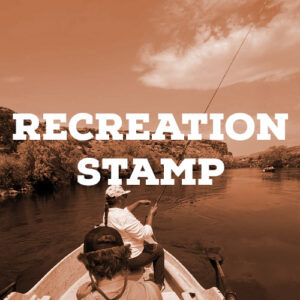 Recreation Stamp